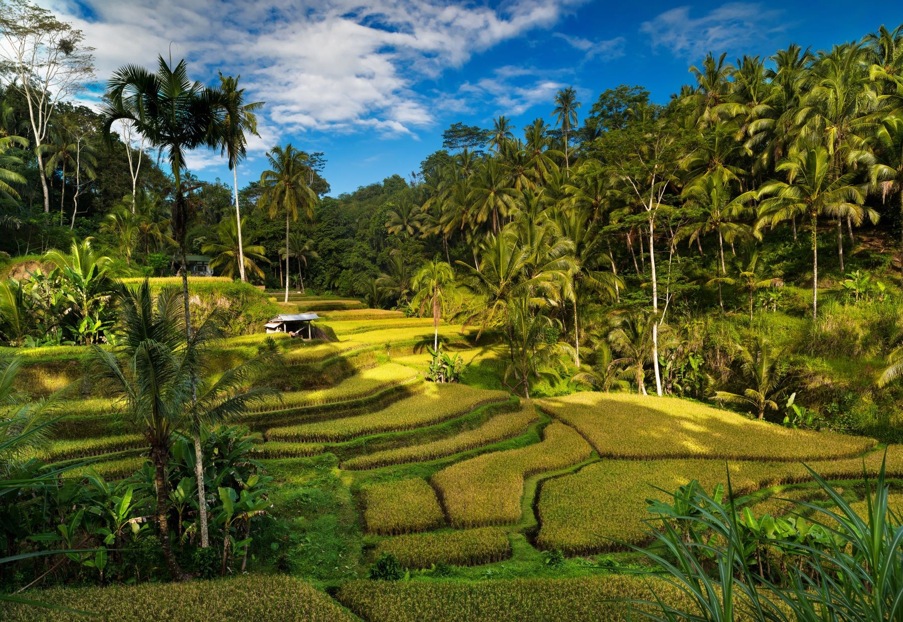 Visitbali The Best Natural Panorama In Bali  That Has 