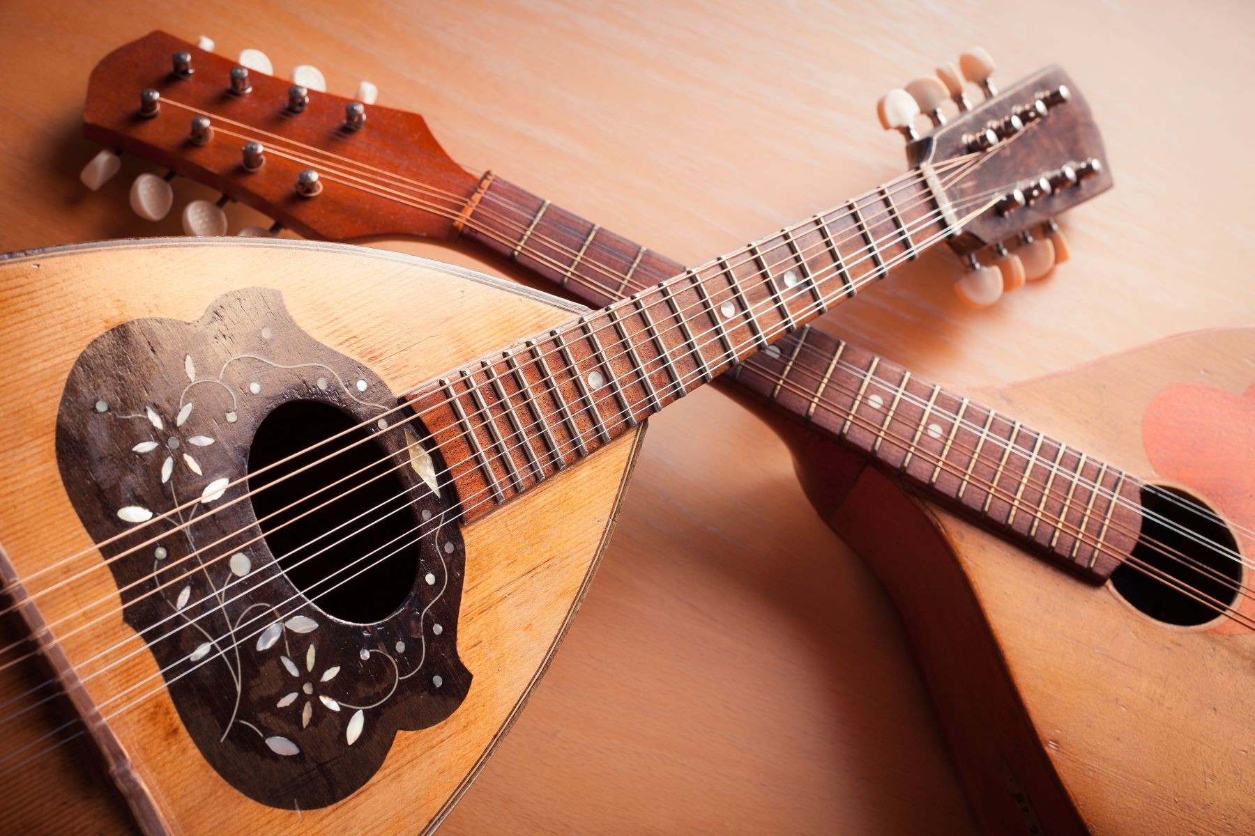 types of stringed instruments folk