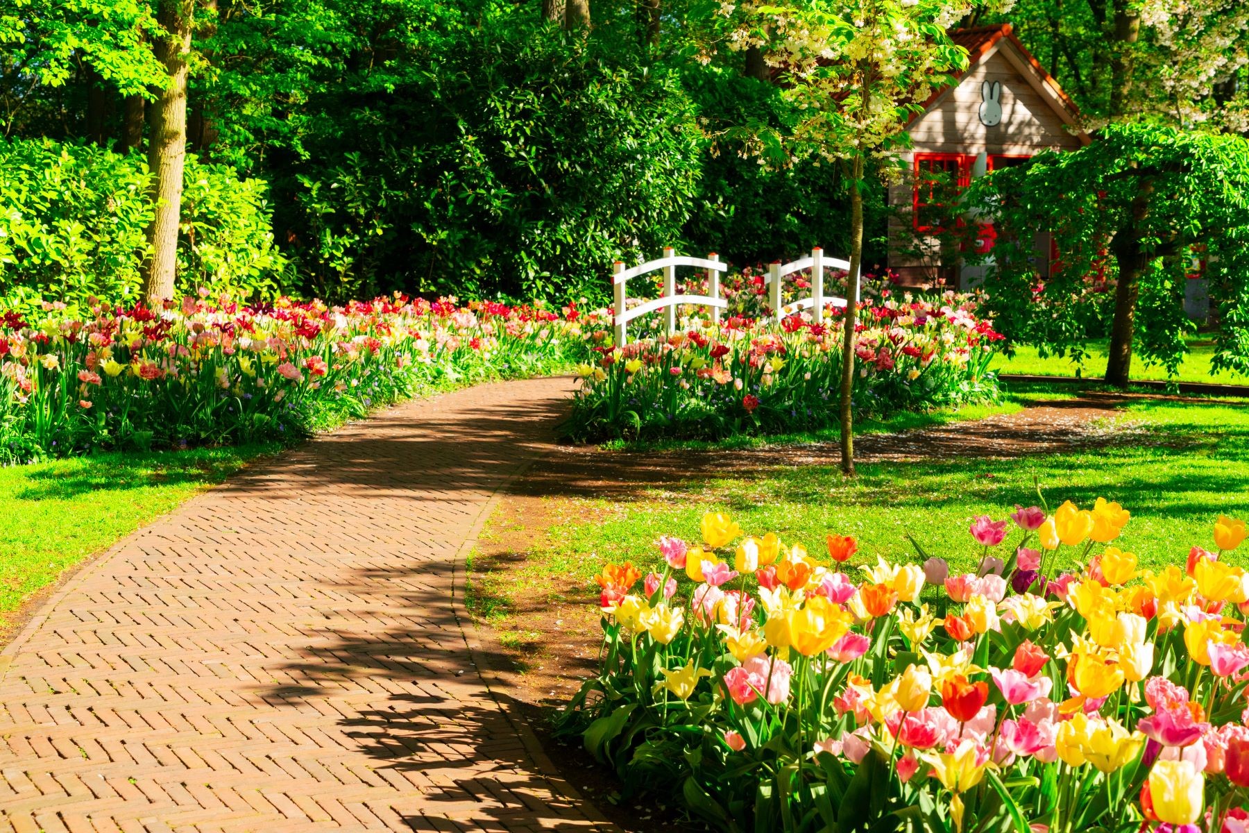 Beautiful Parks With Flowers